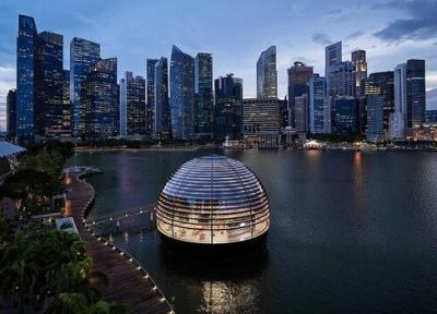 تصاویر فروشگاه شناور اپل در سنگاپور