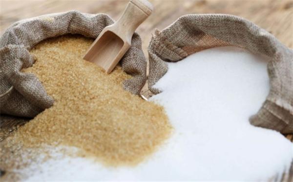 شروع تخلیه 67 هزار تن شکر خام در بندر شهید رجایی